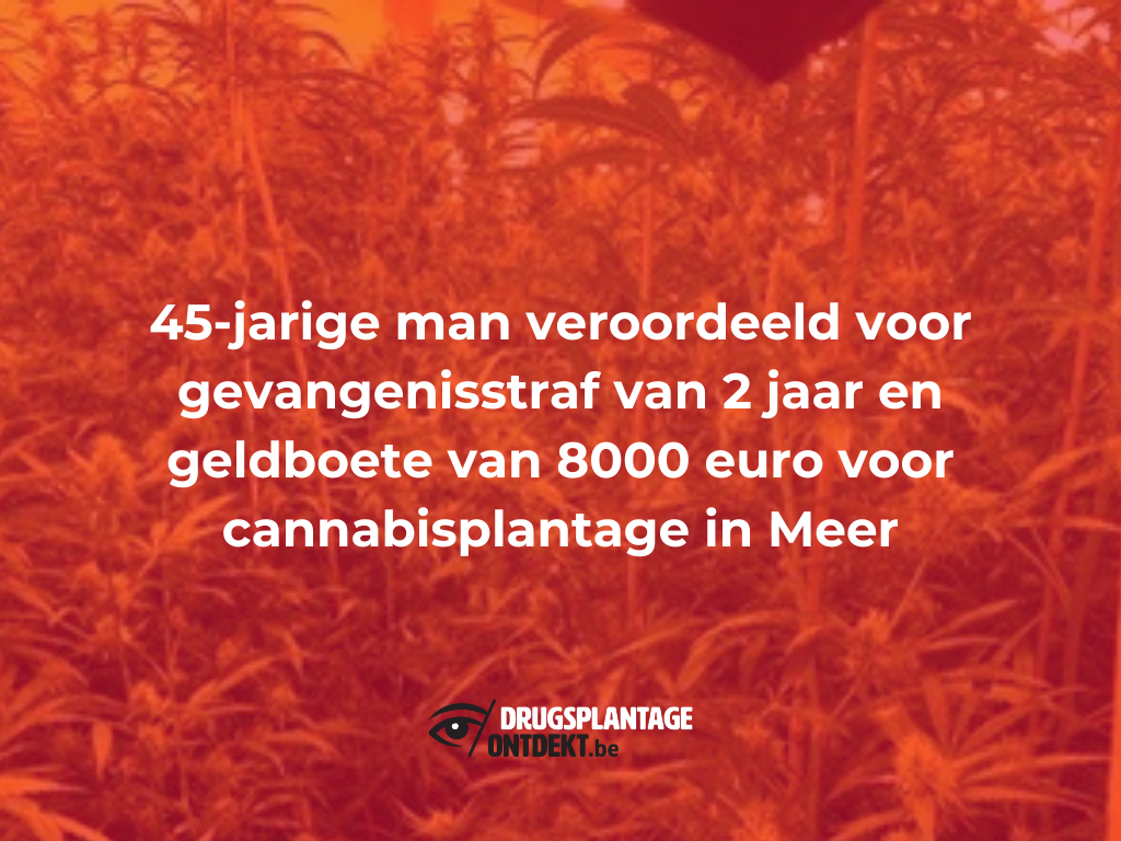 Meer - Een 45-jarige man veroordeeld voor cannabisplantage